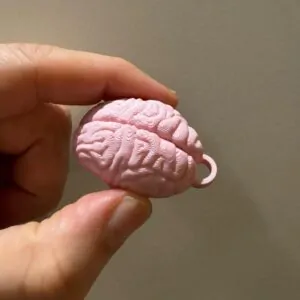 جاسوییچی طرح مغز (Brain Keychain)